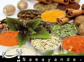 مزاجی که منجر به چاقی می شود طب سنتی