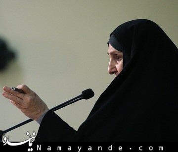 «یو، پی، آر»  محل مناسب برای ارزیابی حقوق بشر است/ سوء استقاده از ابزارحقوق بشر مرضیه افخم 4