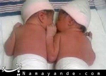 تعداد چند قلوهای تهرانی در بهار امسال چقدر بود؟  دوقلوها