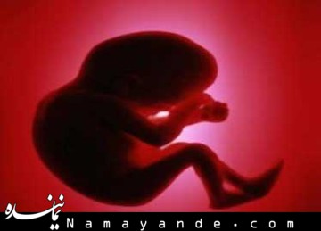120هزار سقط غیرقانونی در سال 92! / چالشهای پیش روی افزایش نرخ باروری جنین