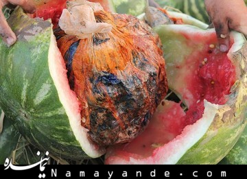 در حد نیاز هندوانه کشت میکنیم هندوانه