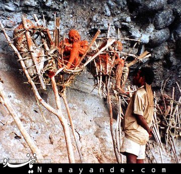 عکس/ دودی کردن جسد مردگان  جسد مردگان