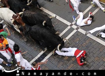 خطرناک ترین عکس سلفی+عکس عکس سلفی