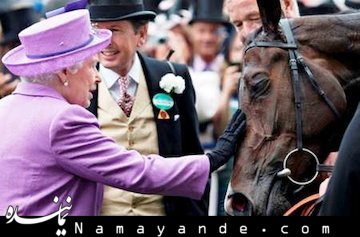 اسب ملکه انگلیس دوپینگی از آب درآمد+عکس اسب