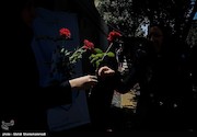 اهدای گل به شهروندان تهرانی در روز کرامت انسانی 