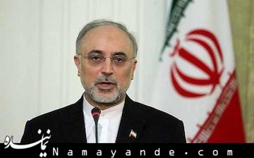 صالحی به کمیسیون آموزش و تحقیقات  گزارش می دهد علی اکبر صالحی