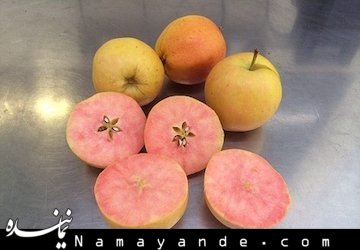 سیب درمان چاقی سیب عجیب