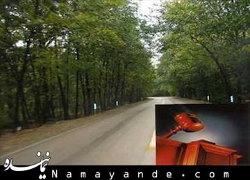 چنارهای ولیعصر زیر سایه آسمان خراشها/راه اندازی نخستین شعبه دادسرای ویژه محیط زیست در کشور درخت