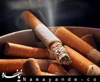 دولت واردات سیگار را قطع کند/ امکان سرمایهگذاری برندهای خارجی سیگار