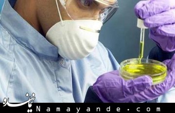 موفقیت محققان کشور در تولید انسولین از قارچ تراریخت قارچ