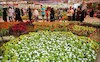 جشنواره گل و گیاه با حضور تولید کنندگان در شهرستان محلات استان مرکزی در حال برگزاری است.