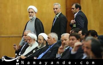 حزب اعتماد ملی دیگر مشروعیت ندارد/ اعتمادملی ادامه دهنده مشارکت و مجاهدین است کنگره اعتماد ملی