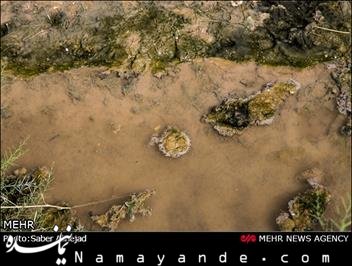 خطر آلودگی آبهای زیر زمینی تهران با فاضلاب پرند و پردیس آلودگی آب