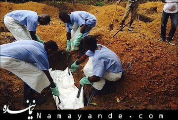 مورد مشکوک به ابولا در تهران تکذیب شد  ویروس مرگبار ابولا که چندی است در کشورهای غرب آفریقا شیوع یافته، جان میلیون ها نفر از ساکنان قاره سیاه را تهدید می کند. هفته گذشته شورای امنیت سازمان ملل، شیوع ویروس ابولا در غرب آفریقا را تهدیدی برا