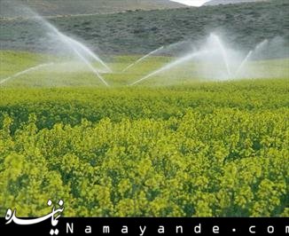 رفع مشکلات آبی کشور با بومیسازی دانش نمک زدایی بذر