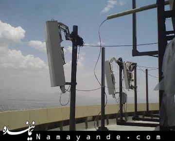 پارازیتها سرطانزا نیستند  پارازیت