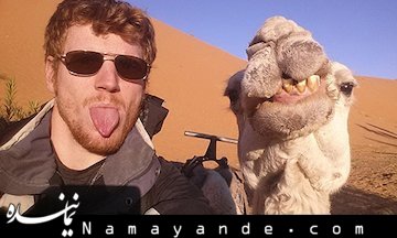 عکس سلفی با شتر