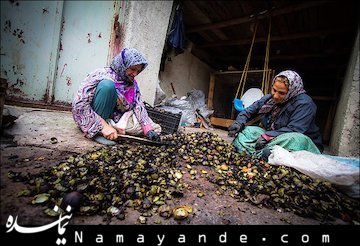 خوشا به حالت ای روستایی!  روستای تروجن از توابع شهرستان بهشهر استان مازندران است اهالی این روستا از سادات و بسیار علاقمند به ارزشهای مذهبی و سنتهای ایرانی و اسلامی هستند. پس از پیروزی انقلاب اسلامی و آغاز جنگ تحمیلی اهالی این