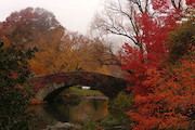  تغییر خارق العاده رنگها، یکی از زیباترین صحنه‌هایی است که طبیعت هر سال در فصل پاییز به نمایش می گذارد.