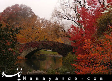 قابل توجه اس ام اس بازها/ پیامک های پاییز رسید  تغییر خارق العاده رنگها، یکی از زیباترین صحنههایی است که طبیعت هر سال در فصل پاییز به نمایش می گذارد.