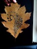 «امید اسدی» هنرمند ایرانی، طرح‌های زیبایی روی برگ درختان پاییزی می‌کشد. این هنرمند ایرانی ساکن در انگلستان با چاقو و سوزن ،کنده کاری‌های کم‌نظیری روی برگ درختان انجام می‌دهد. پرتره‌هایی که این هنرمند 
