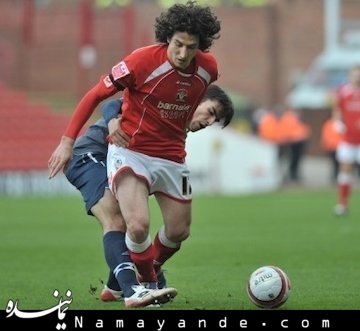 تیموریان در تیم رویایی جام ملتها  تیموریان