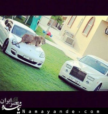 صفحه بچه پولدارهای عرب هم آمد + تصاویر بچه پولدارهای عرب