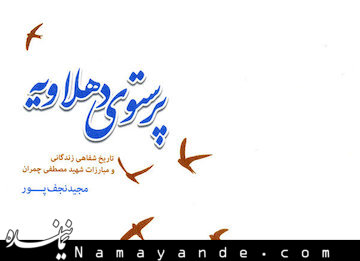 «پرستوی دهلاویه» راوی تاریخ شفاهی زندگی شهید چمران شد دهلاویه