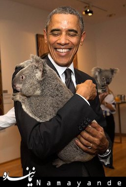 جمع آوری میمون ها به خاطر رییس جمهور!+عکس اوباما