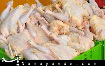 مصرف خونمردگی گوشت مرغ سبب بیماری خونی میشود  مرغ/1