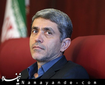 دولت هیچ تعهدی نسبت به جبران خسارت مردم در موسسات غیرمجاز ندارد  طیب نیا/43