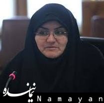پیروزی گفتمان منطق بر زور و تهدید در مذاکرات هستهای بهمنی43