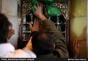 عزاداران حسینی در بین الحرمین