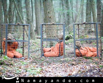 گزارش تکاندهنده شکنجههای سیا؛ از غرق مصنوعی تا تهدید به قتل زندان گوانتانامو431