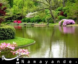 فروش گذرنامه بهشت در آمریکا!+عکس بهشت431