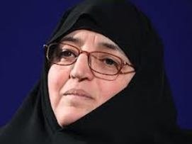 هیچ وفاقی با نمایندگان درباره پیشنهادها صورت نگرفته بود/ بیانیه سیاسی را جایگزین گزارش پژوهشی کردند طبیب زاده 43