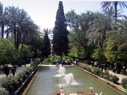 زیبایی های شهر طبس/نماینده طبس