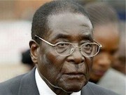 موگابه 43
