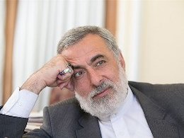 حجاب نامتعارف نماینده پارلمان اروپا به دلیل کوتاهی مسئولان امر بود/ درخواستی برای دیدار با فتنهگران نداشتند شیخ الاسلام 43