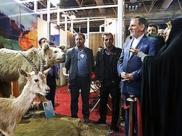 هشتگ اینستاگرامی"ابتکار-برکنار"!+تصاویر معصومه ابتکار 43