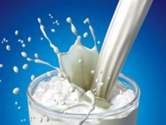 شیر اینبار سلطان گرانی شد شیر خوراکی 43