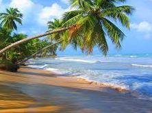 زیباترین سواحل زمین+تصاویر ساحل دریا 43