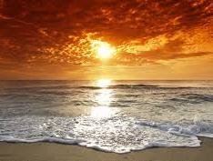 جنازه خواننده معروف پیدا شد+عکس ساحل دریا 43