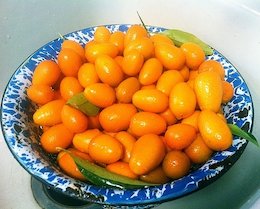 میوه آپارتمانی و لذیذ!/عکس کامکوات 43