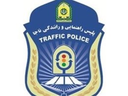 گورخری که به کمک پلیس راهور شیراز آمده است +عکس پلیس43