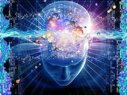 علائمی که نشان می دهد شما باهوش هستید هوش 43