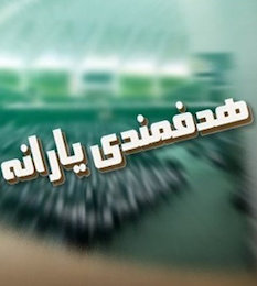 یارانه نقدی ۵ گروه درآمدی ناگهان حذف شد هدفمندی یارانه/2