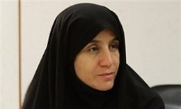 دولت جلوی رانتهای غیرقانونی را بگیرد عمرانی43