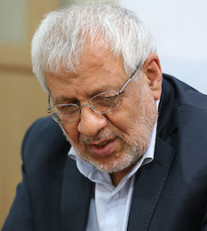 روزنامه ایران هر روز علیه همه تیغ می کشد/ دولت باید خود را با نمایندگان همراه کند بادامچیان/2