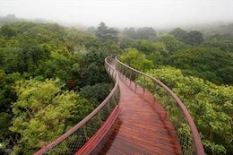 تصاویر/ جذاب ترین راه دنیا برای قدم زدن پل